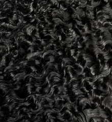 Burmese Curly Bundles