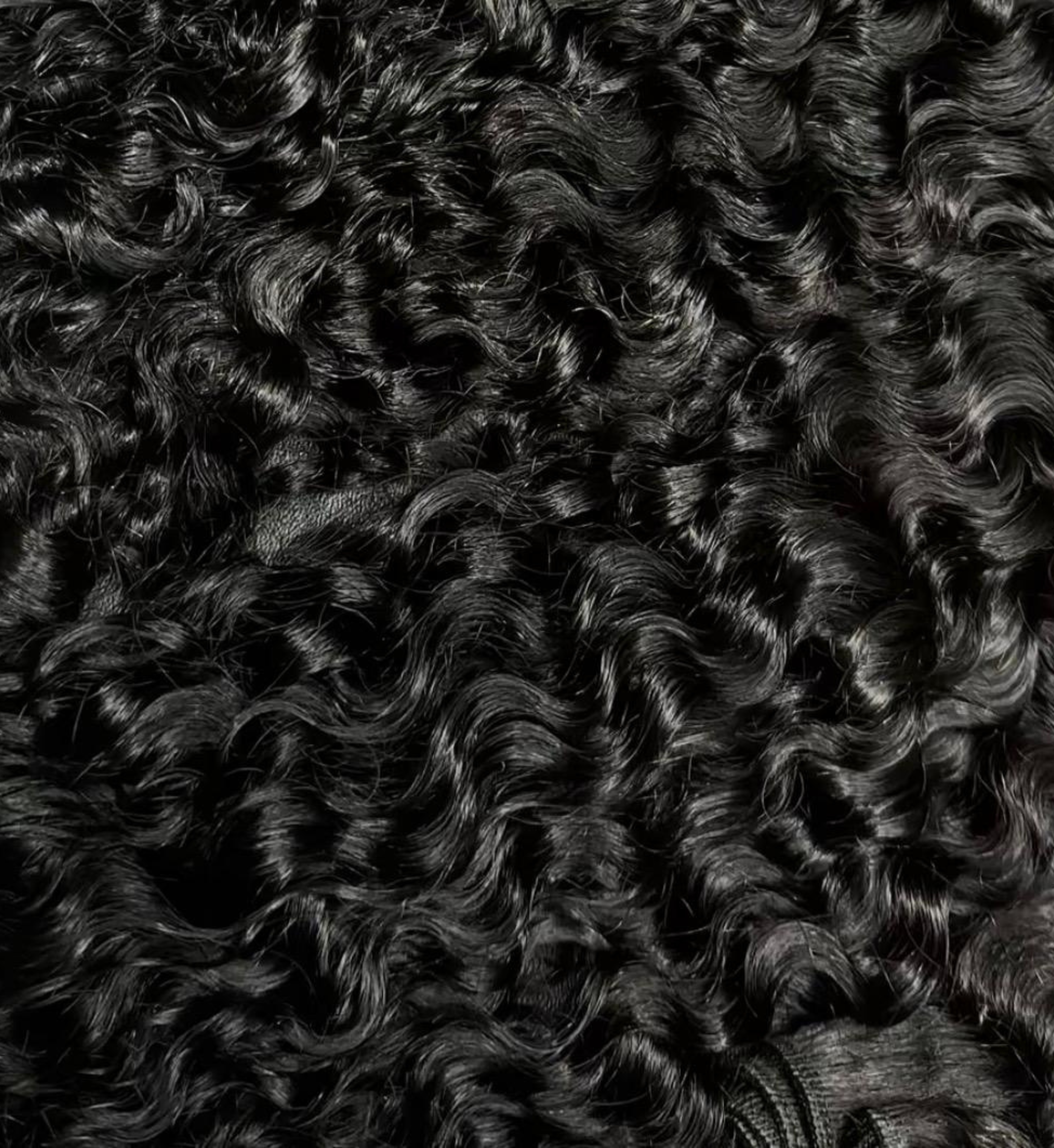 Premium Virgin Curly Bundles
