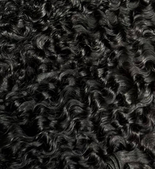 Premium Virgin Curly Bundles